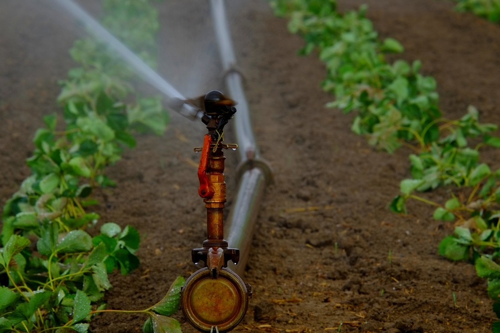 Garden Sprinklers